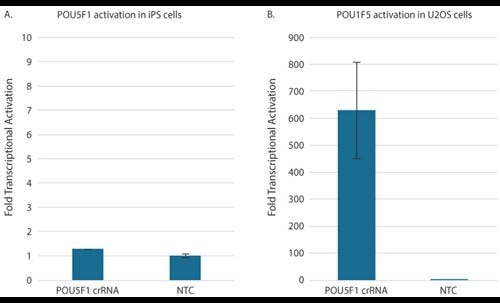 Transcriptional activation depends on endogenous gene expression levels Transcriptional activation depends on endogenous gene expression levels