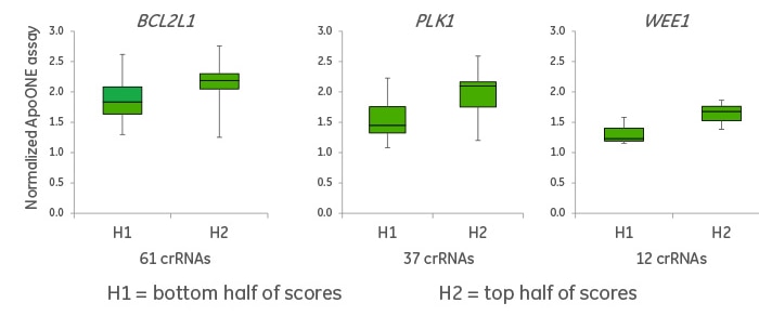 crRNAs with High Algorithm Scores