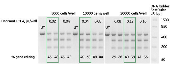 Optimal Reverse Transfection Conditions
