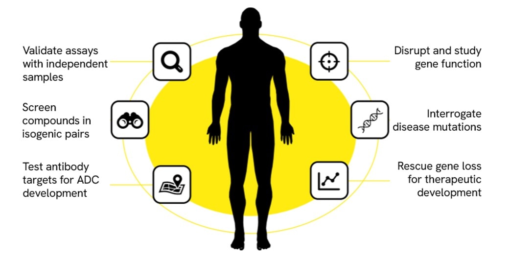 Applications image cell lines