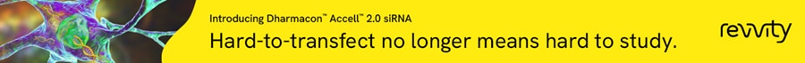 Dharmacon™ Accell™ 2.0 siRNA
