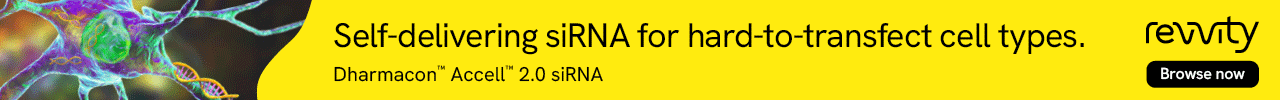Dharmacon™ Accell™ 2.0 siRNA