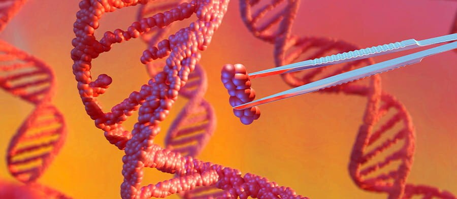 CRISPR-ready