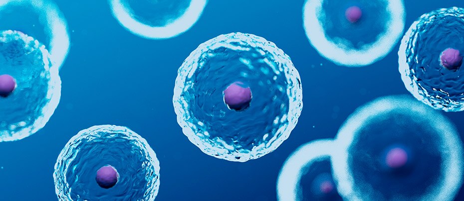 Cell Lines Cta Home Page image