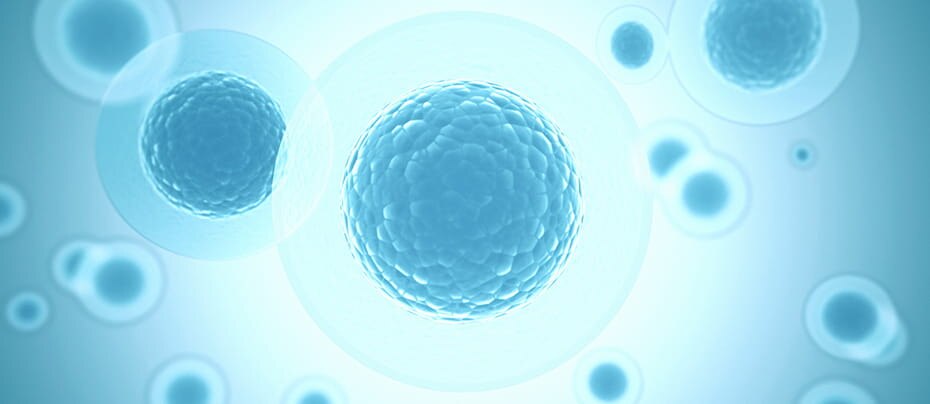 Newest Blog Cta Home Page image