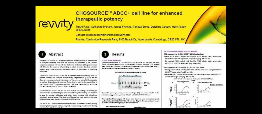 CHOSOURCE™ CHO-K1 ADCC+ cell line