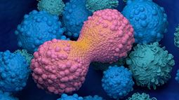 Mimix™ OncoMatch™ Lung Cancer Positive and Negative FFPE reference standards