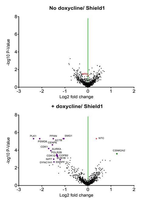 graph-CRISPR-protein-kinase-data-global-product-page