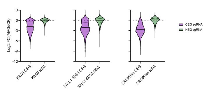 graph-CRISPRi-AIO-violin-plots-global-product-page