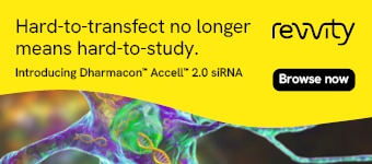Dharmacon™ Accell™ 2.0 siRNA