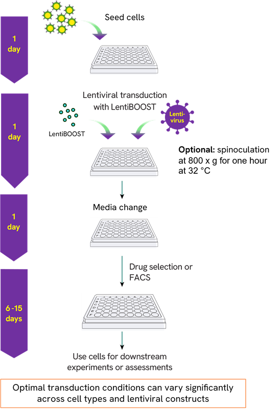 lentiboost workflow image