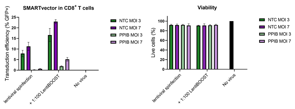 SMARTvector T-Cell Transduction with LentiBOOST
