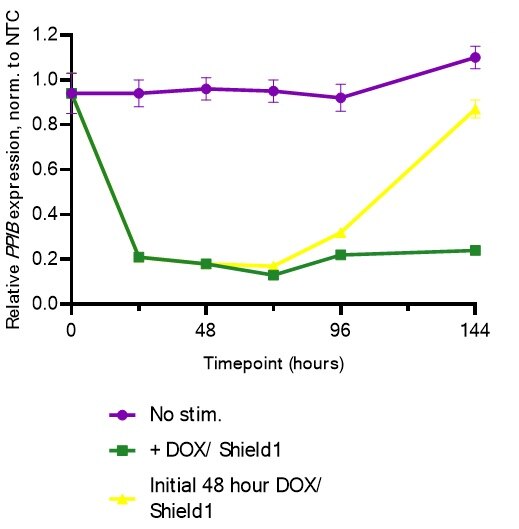 Potent, reversable gene repression 