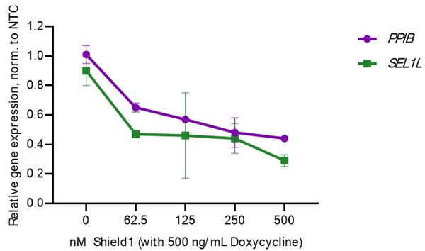 Raising Shield1 concentrations up to 500 nM 