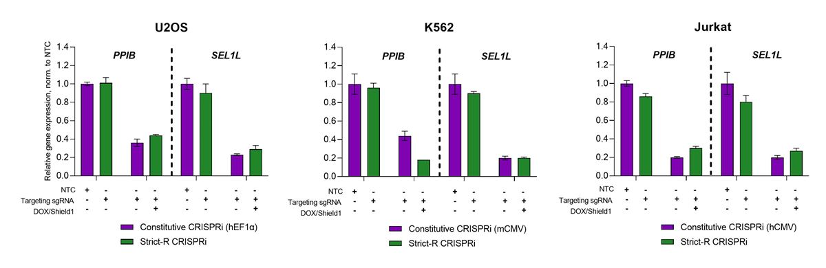 robust-transcriptional-repression