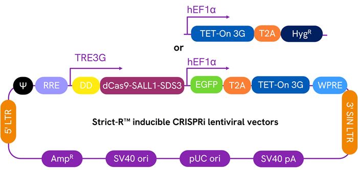 Schematic map of the Dharmacon™ Strict-R™ Inducible CRISPRi Lentiviral vectors