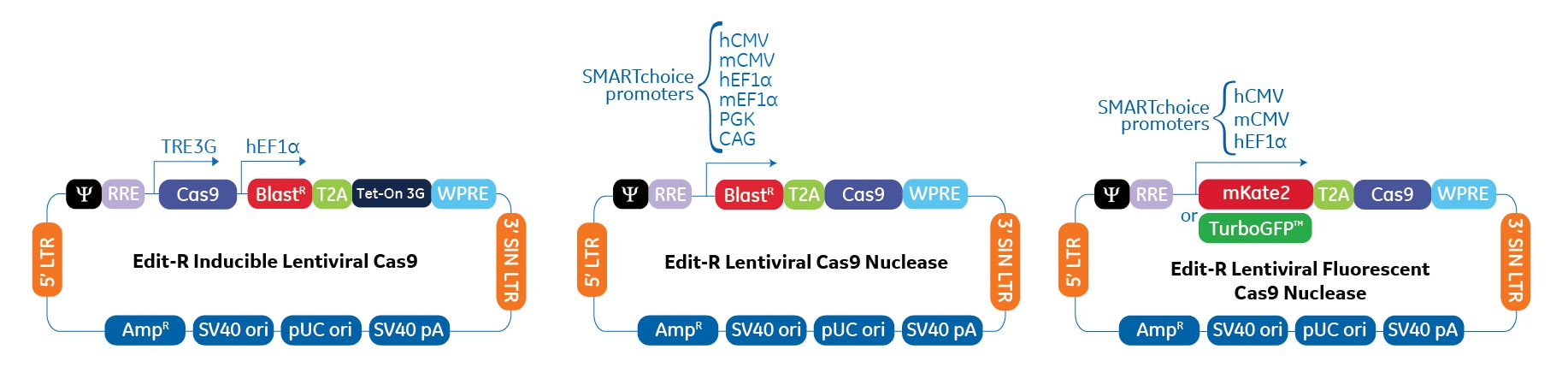 lentiviral cas9 vector maps