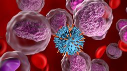 ivd oncospan ffpe image