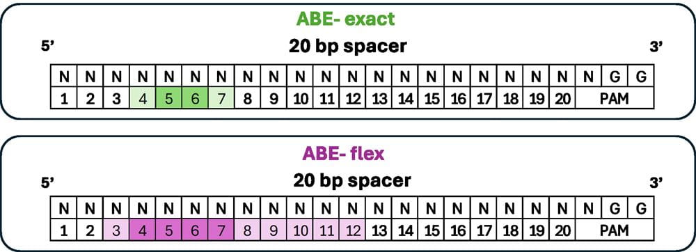 pinpoint abe editing window global product page