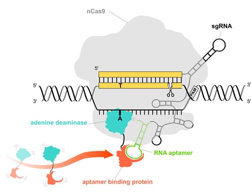 Pinpoint abe global product page