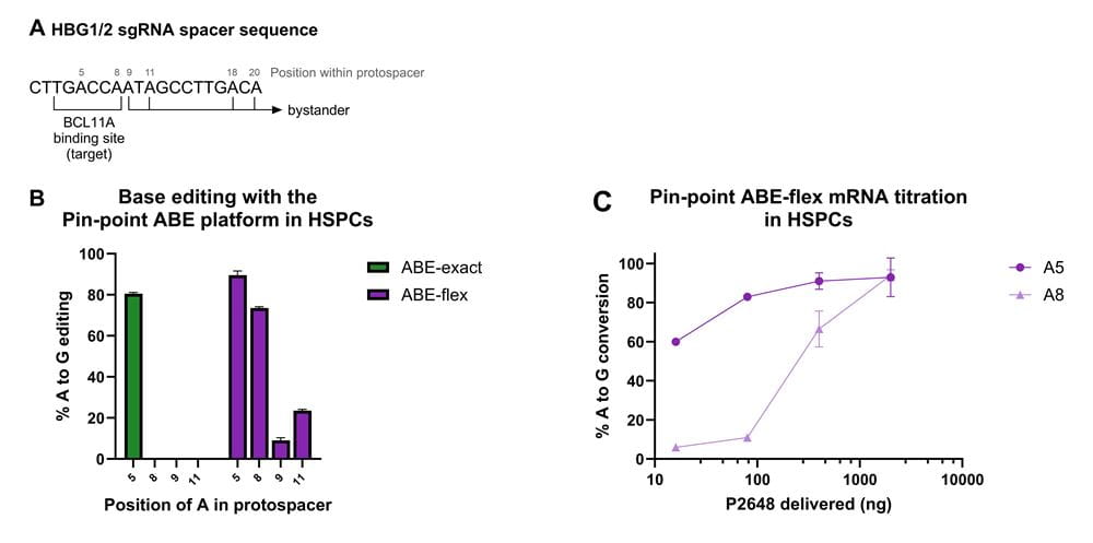 pinpoint abe hsp cs hbg12 global product page