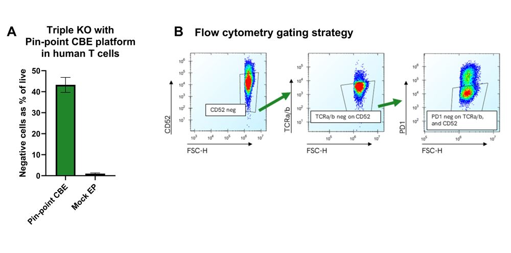 pinpoint cbe triple ko global product page
