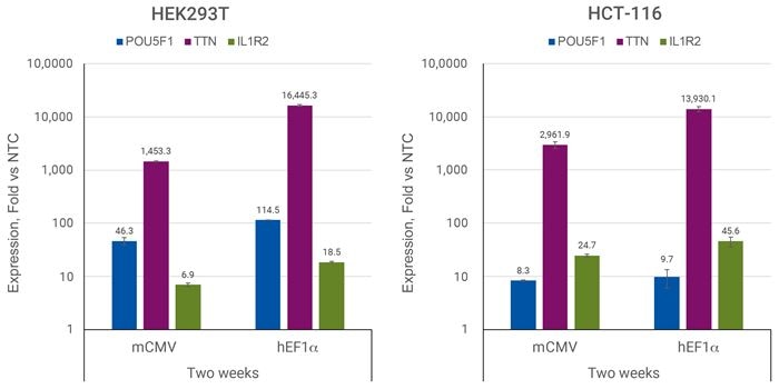 Transcriptional Activation with CRISPRmod All-in-one Puro-dCas9-VPR 