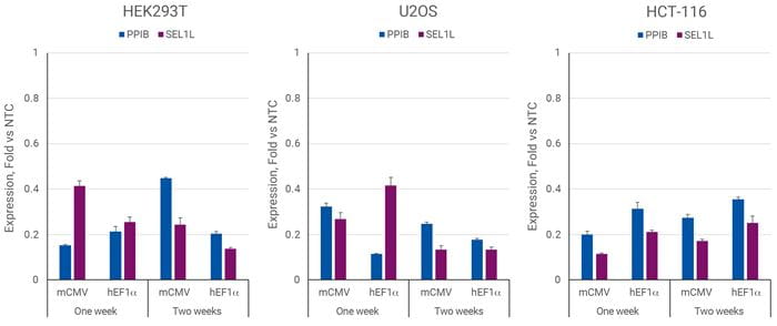 Transcriptional Repression with CRISPRmod All-in-one Puro-dCas9-SALL1-SDS3