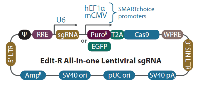 Edit-R All-in-one vectormap