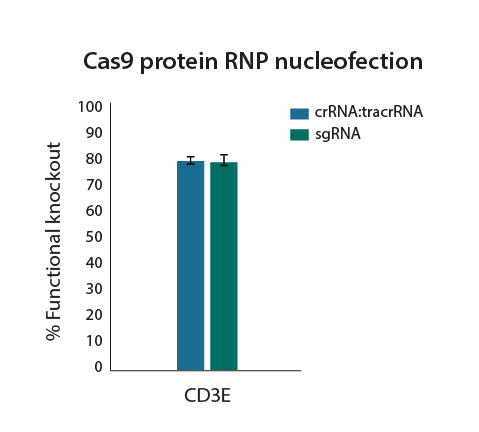 Synthetic guide RNAs and Cas9 nuclease protein electroporated as RNP