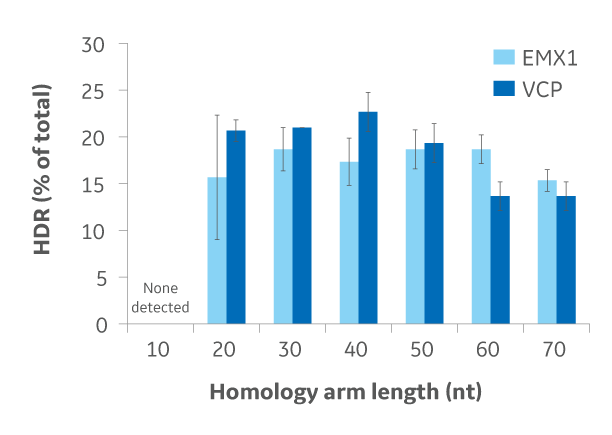 optimizing homology arm length maximal hdr knockin