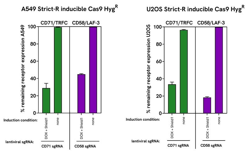 Robust gene editing and minimal leakiness with Dharmacon™ Strict-R™ inducible lentiviral Cas9 in two cancer cell lines
