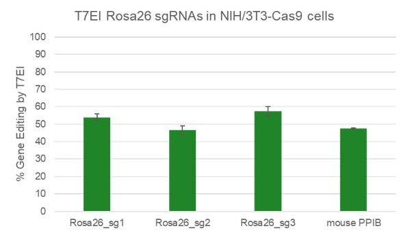 rosa26 cutting sgrna graph