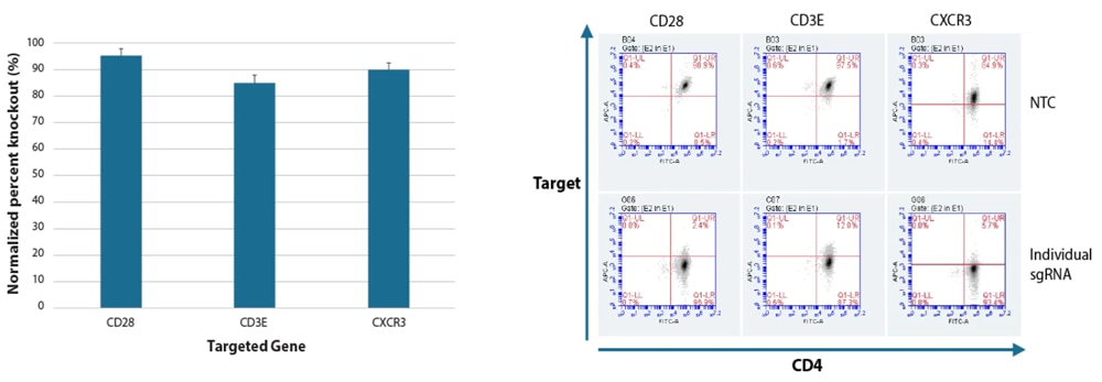 Flow Cytometry Analysis Of Protein Knockout In CD4+ T Cells image