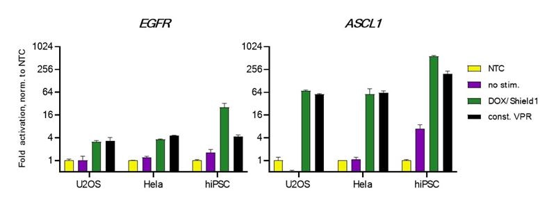 robust activation and minimal leakiness graph