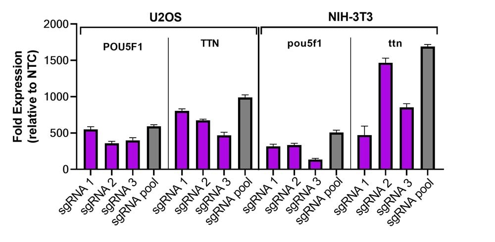 Stable Human Mouse Controls image