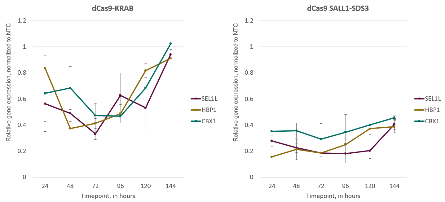 CRISPRi gene repression is observed 24 hours post-transfection and is maximal 48-72 hours post transfection