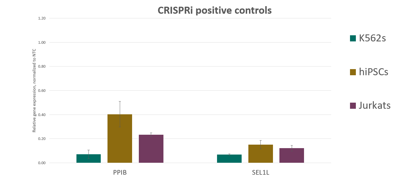 Robust gene knockdown with CRISPRi synthetic sgRNA positive controls 