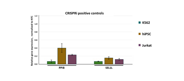 Robust gene knockdown with CRISPRi synthetic sgRNA positive controls 