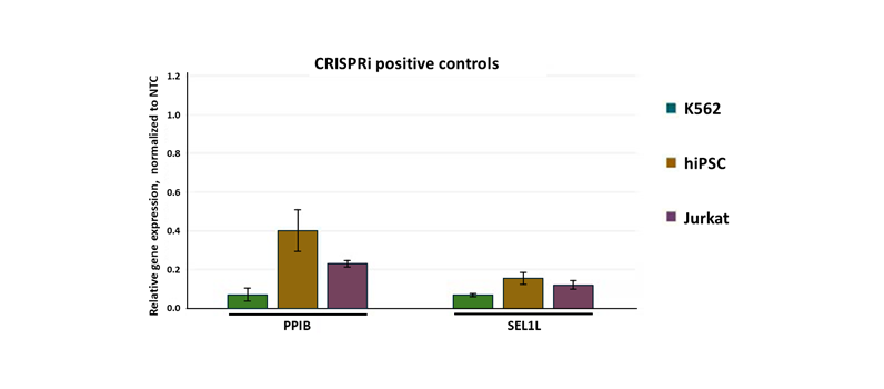 Robust gene knockdown with CRISPRi synthetic sgRNA positive controls 