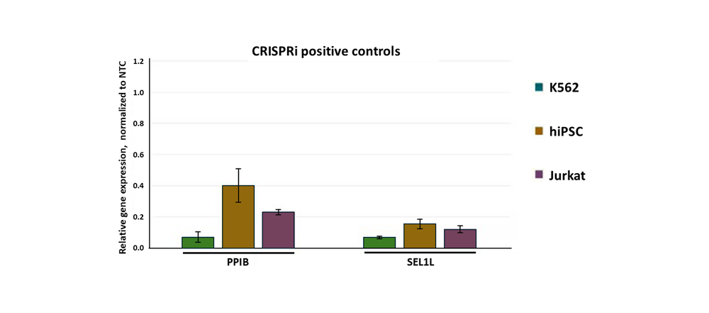Robust gene knockdown with CRISPRi synthetic sgRNA positive controls 
