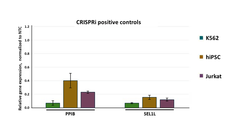 Robust Gene Knockdown With CRISPRi Synthetic SgRNA Positive Controls  image