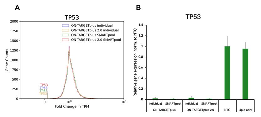 ON-TARGETplus sirnas potently deplete tp53 mRNA expression graph