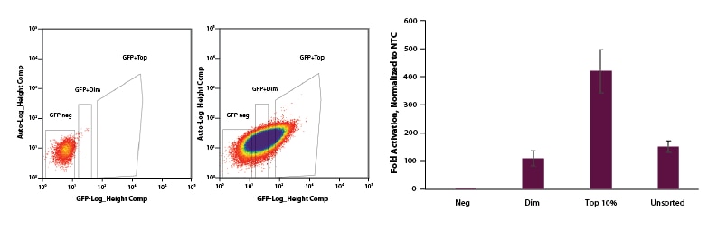 EGFP can be used to select for cells with EGFP dCas9-VPR mRNA