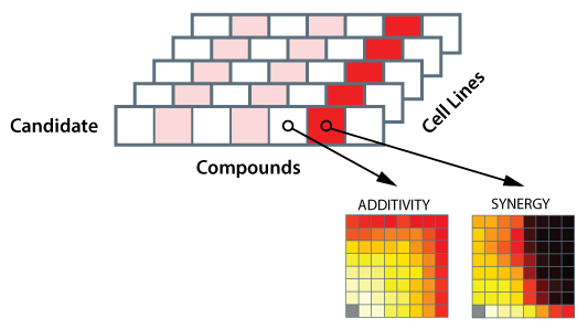 Enhancer Screening Diagram 1