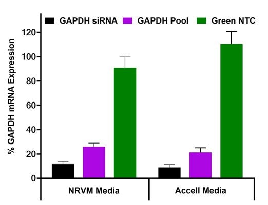 sirna knockdown delivery global researcher marketing