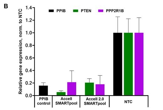 Target mRNA knockdown in matrix-free 3D spheroids using Accell 2.0 siRNA