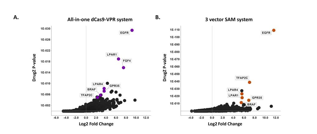 Highly Concordant Hits Between Whole Genome CRISPRa Screens Performed Using The CRISPRmod image