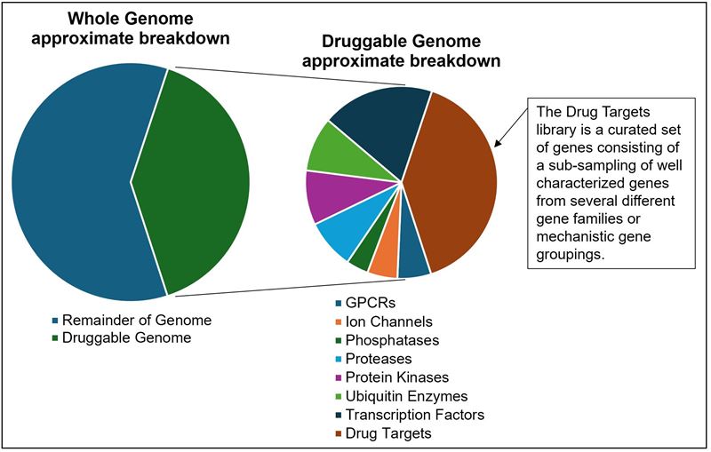 diagram-sirna-libraries-screening-global-researcher-screener-productpage