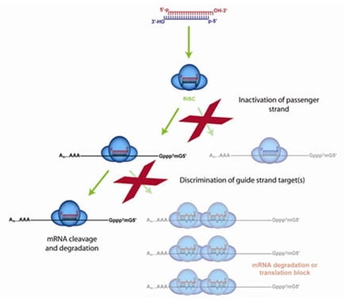 on-targetplus-modification-pattern-figure